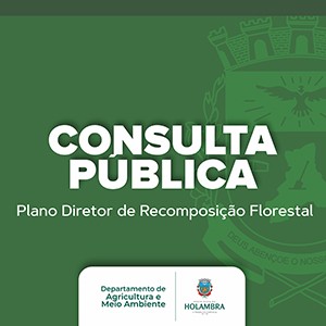 Consulta Pública: PDRF