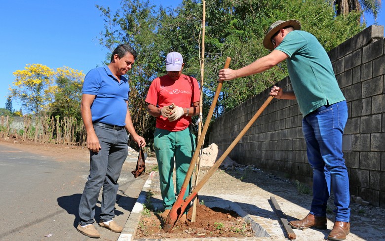 Notícias de Holambra