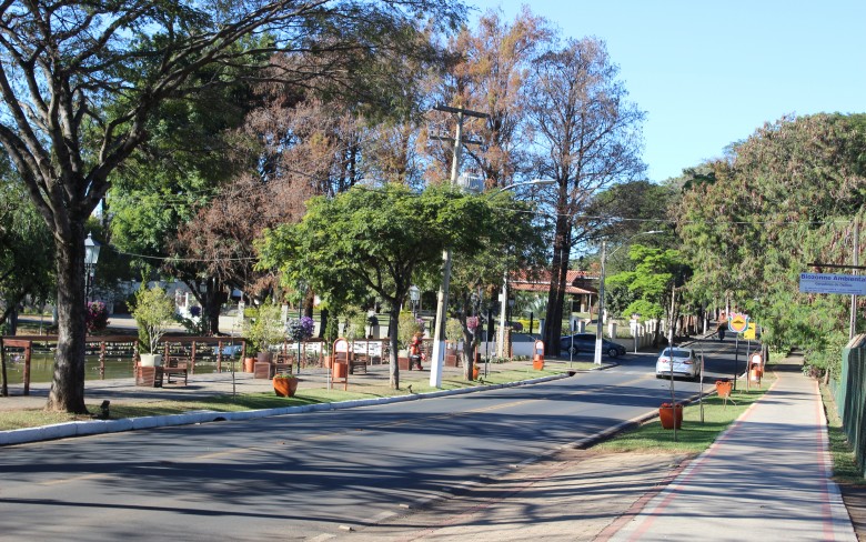 Notícias de Holambra