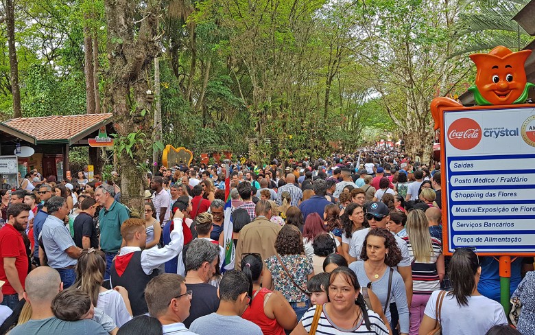Notícias de Holambra