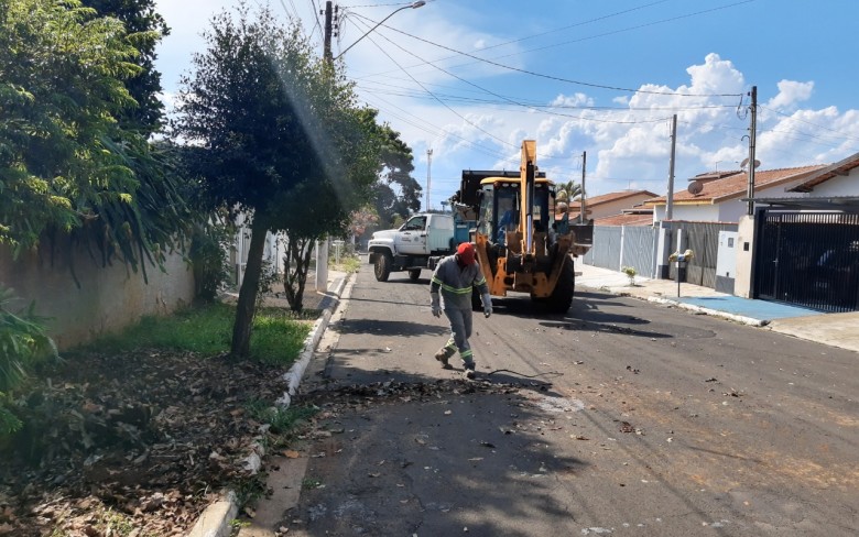 Notícias de Holambra