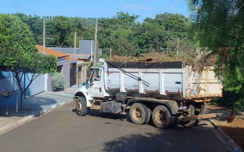 Notícias de Holambra