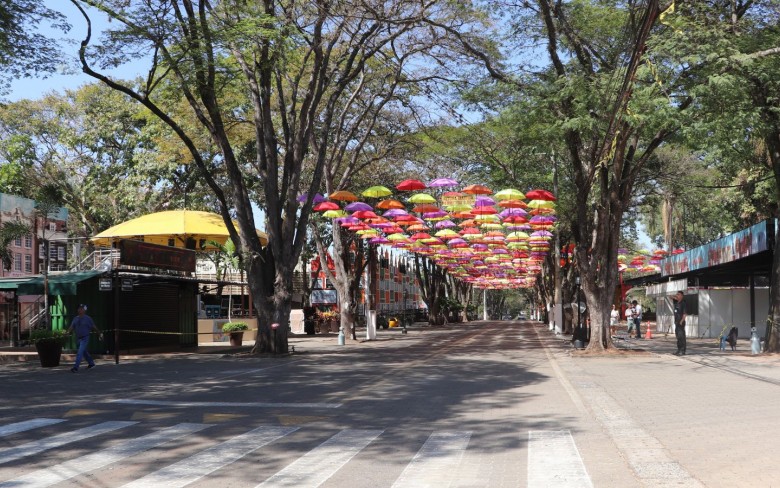 Notícias de Holambra