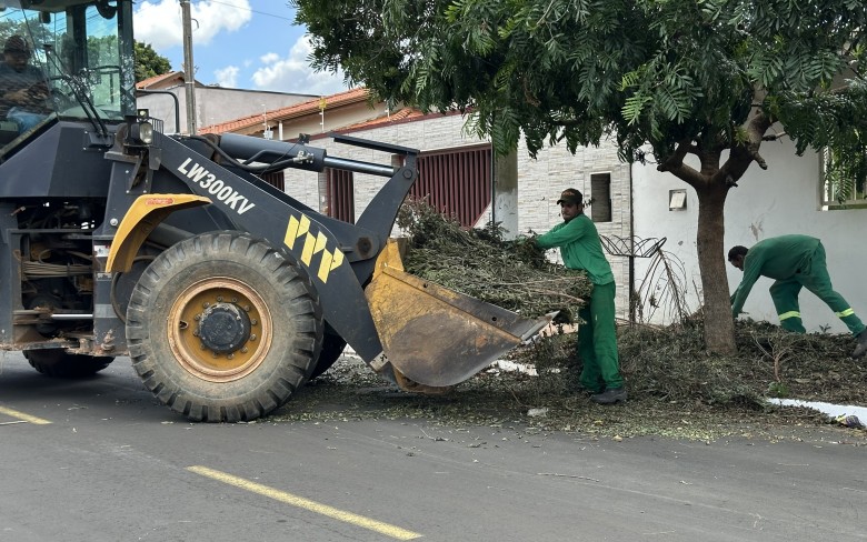 Notícias de Holambra