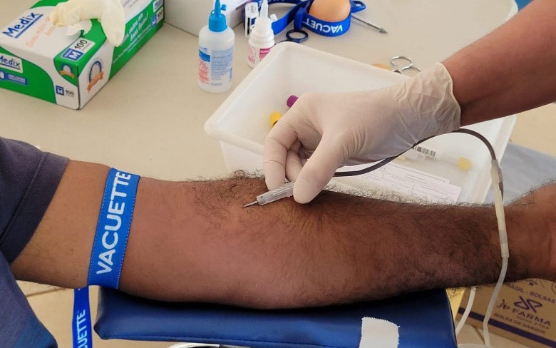 Notícias de Holambra