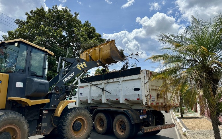 Notícias de Holambra