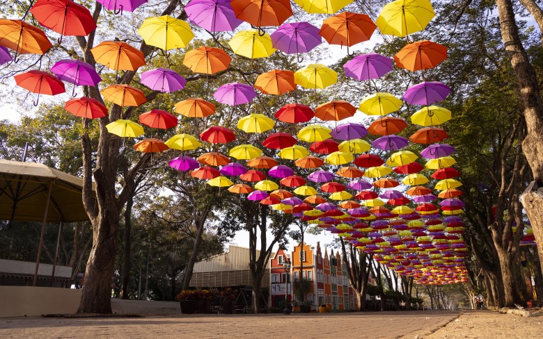 Notícias de Holambra