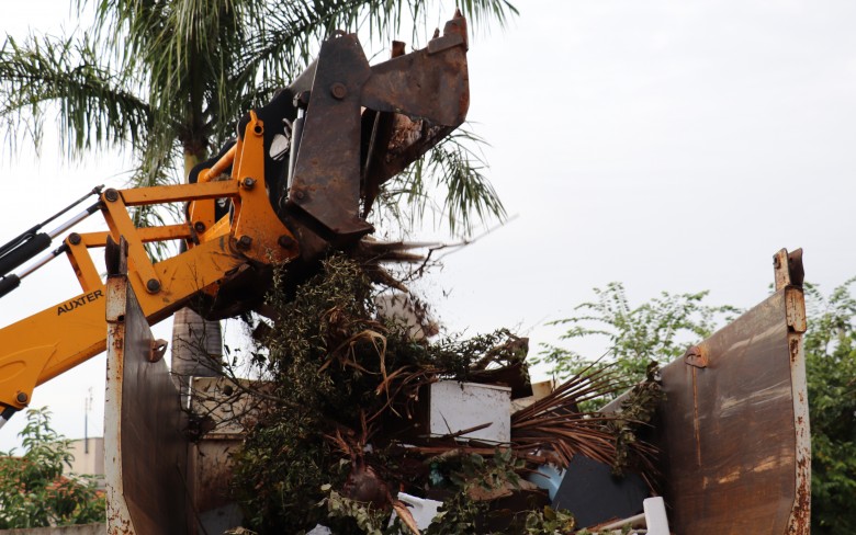 Notícias de Holambra