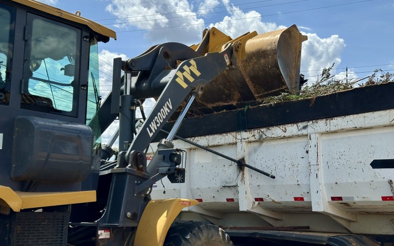 Notícias de Holambra