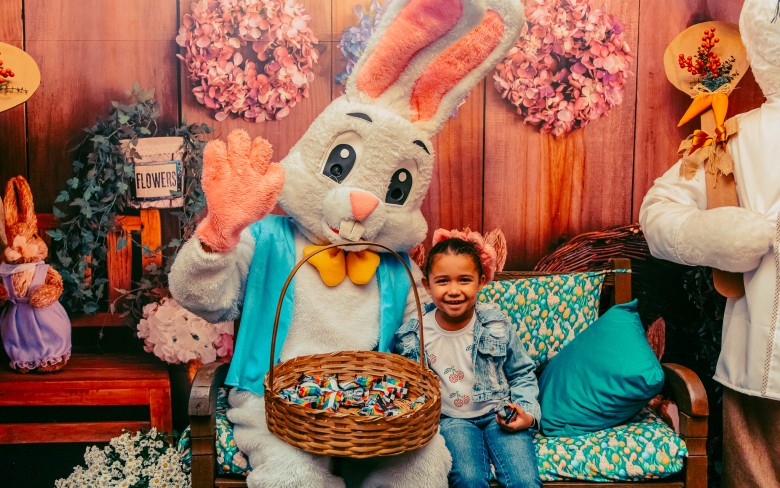 Notícias de Holambra