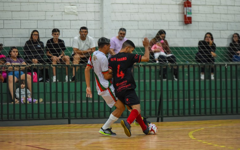 Notícias de Holambra