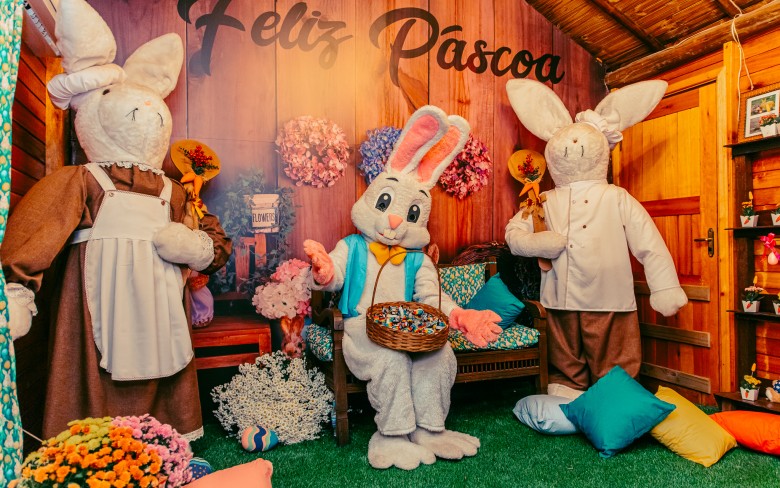 Notícias de Holambra