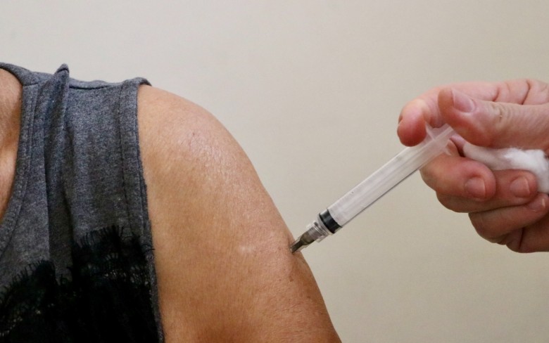 Notícias de Holambra