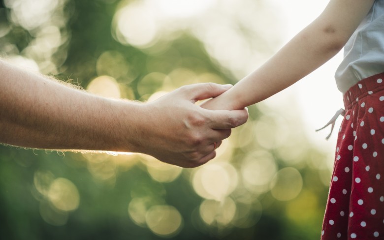 Notícias de Holambra