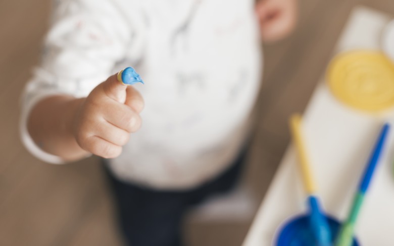 Notícias de Holambra