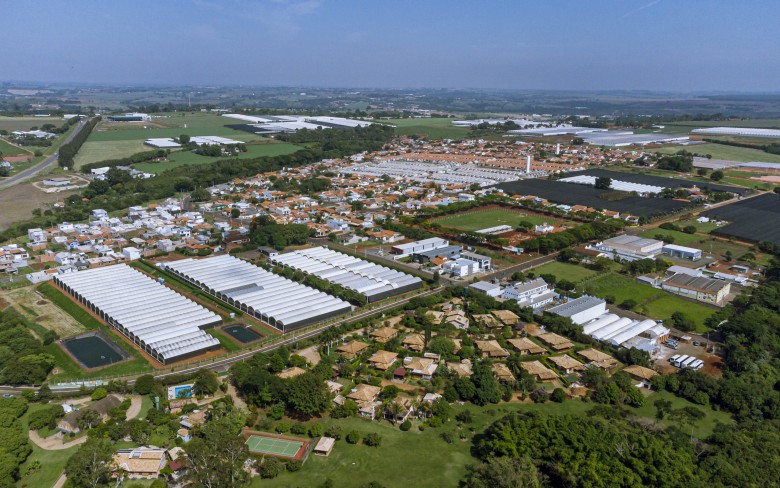 Notícias de Holambra