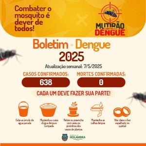 Boletim Dengue