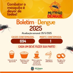 Boletim Dengue 